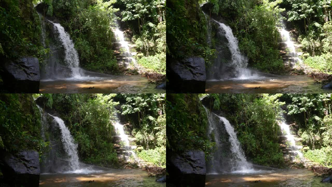 绿色森林中的瀑布与大自然中的新鲜小溪