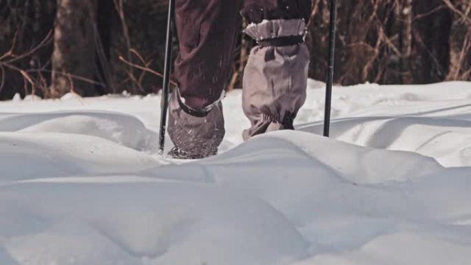 活跃的人在冬季森林中徒步旅行