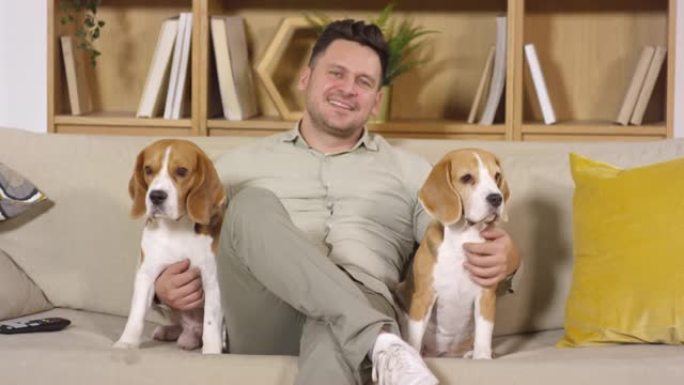 快乐的男主人和两只可爱的小猎犬在沙发上摆姿势