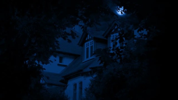 深夜有月亮的房子别墅树木剪影