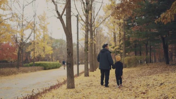 父子俩走在秋天的森林里。