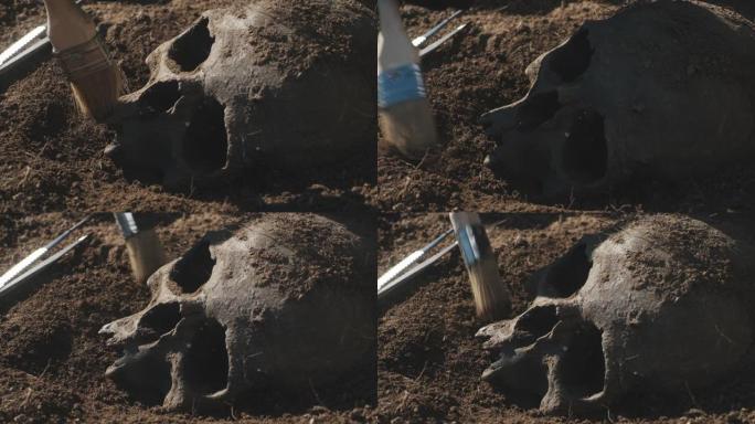 匿名考古学家从人类头骨上清除土壤