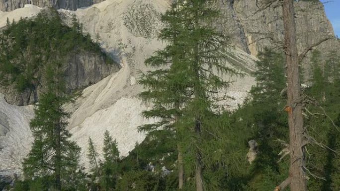 空中: 欧洲阿尔卑斯山的山卵石