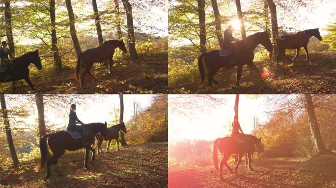 镜头耀斑: 女人在日出时带着马探索秋天的彩色森林。