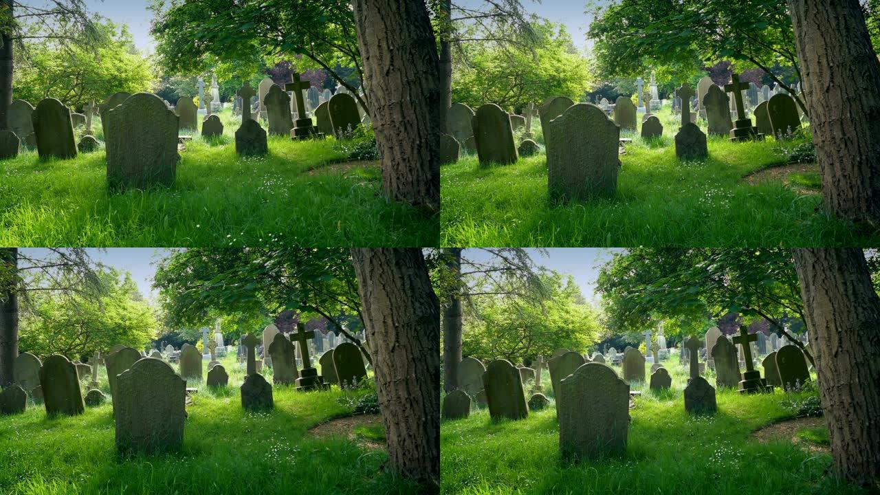 在宁静的绿树成荫的公墓中崛起