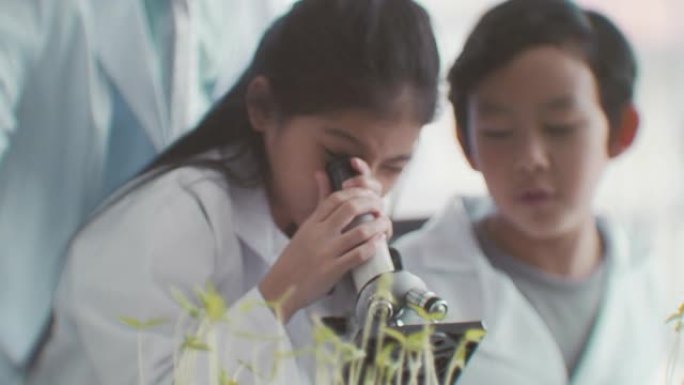 植物学家植物学家小学化学显微