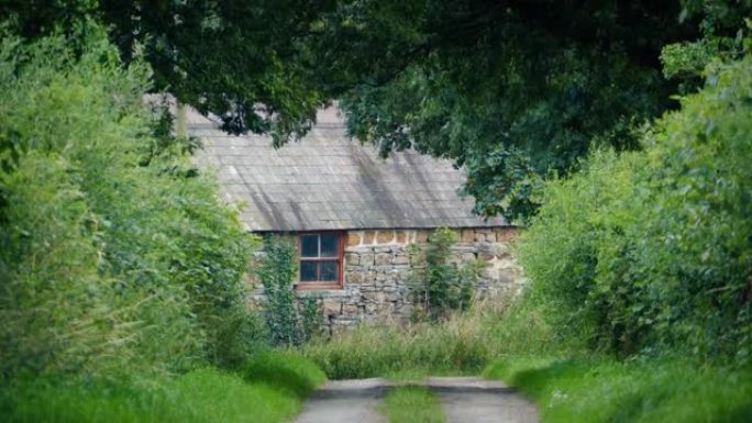 典型的老农舍建筑，绿树成荫