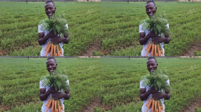 一位黑人非洲农民的特写镜头微笑着，看着相机，手里拿着一串他刚刚拔出地面的美丽的新鲜胡萝卜
