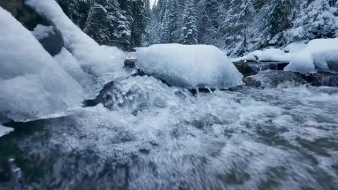 带有水晶水的快速河流流经冬季森林。树上的冰雪块。融冰与全球变暖概念