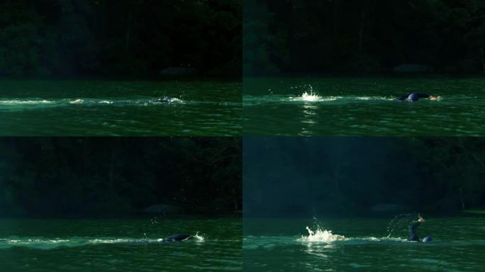 男子在湖中游泳自由泳视频素材蛙泳