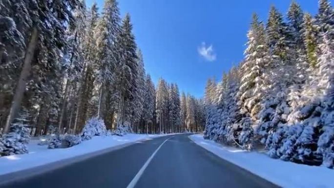 穿越冬季白色森林的雪乡公路上的驾驶视点