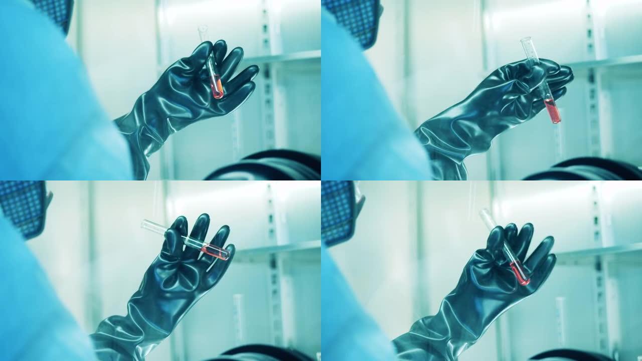 一名戴着手套的实验室工作人员手中的试管