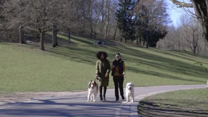 两名妇女带着他们的宠物狗在公园的小径上行走