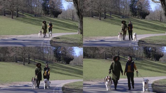 两名妇女带着他们的宠物狗在公园的小径上行走