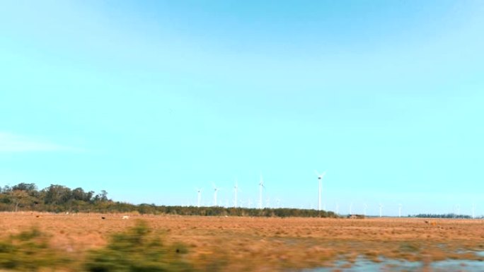 巴西南里奥格兰德州BR-290公路的风车