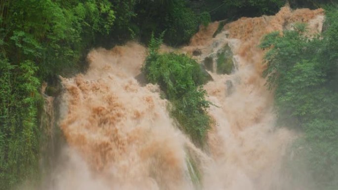 森林中的灾难水汹涌泻洪流水