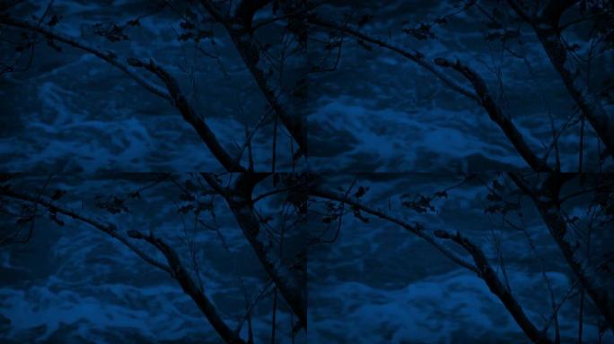 夜间通过树枝看到河水肆虐