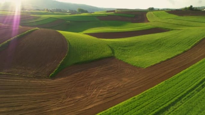 空中: 美丽的丘陵乡村，有绿色的草地和农田
