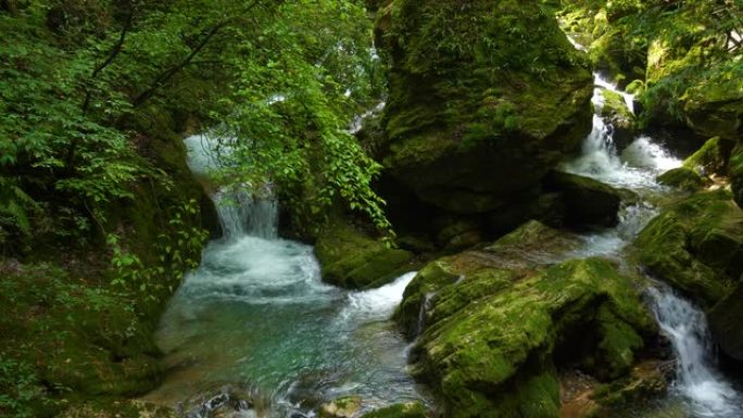 溪水在山上流动森林海氧吧瀑布溪流水