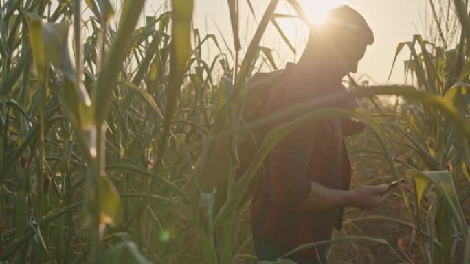 农民把一袋玉米扛在肩上，开始用智能手机