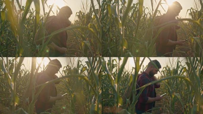 农民把一袋玉米扛在肩上，开始用智能手机