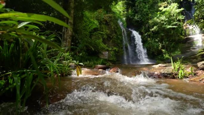 绿色森林中的瀑布与大自然中的新鲜小溪