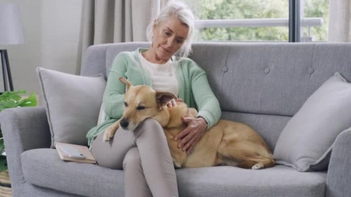 满意的高级女人坐在家里的沙发上抚摸她的混血狗。孤独的退休老妇在结束手机通话后，在家里的休息室里联系并