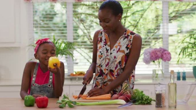 非裔美国母女在家厨房切菜