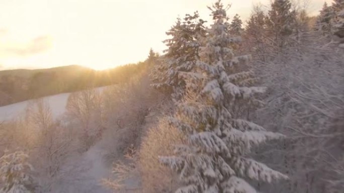 空中: 金色的冬天早晨的阳光照耀着田园诗般的白雪皑皑的乡村。
