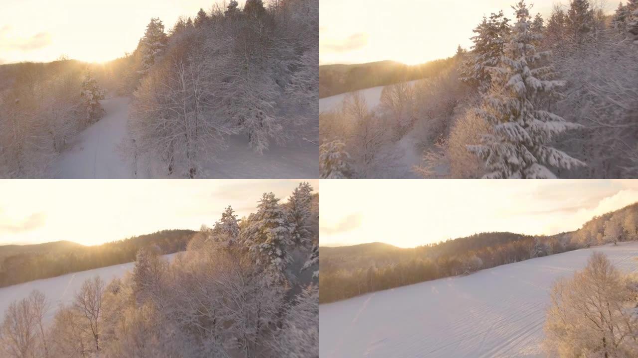 空中: 金色的冬天早晨的阳光照耀着田园诗般的白雪皑皑的乡村。