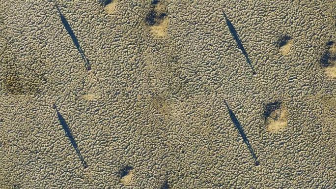 气候变化。由于气候变化和全球变暖造成的干旱，一个饱受摧残的农民走过干旱大坝的图案化的破裂泥面的鸟瞰图