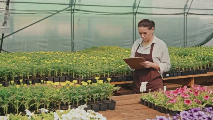 温室工人检查植物和花卉