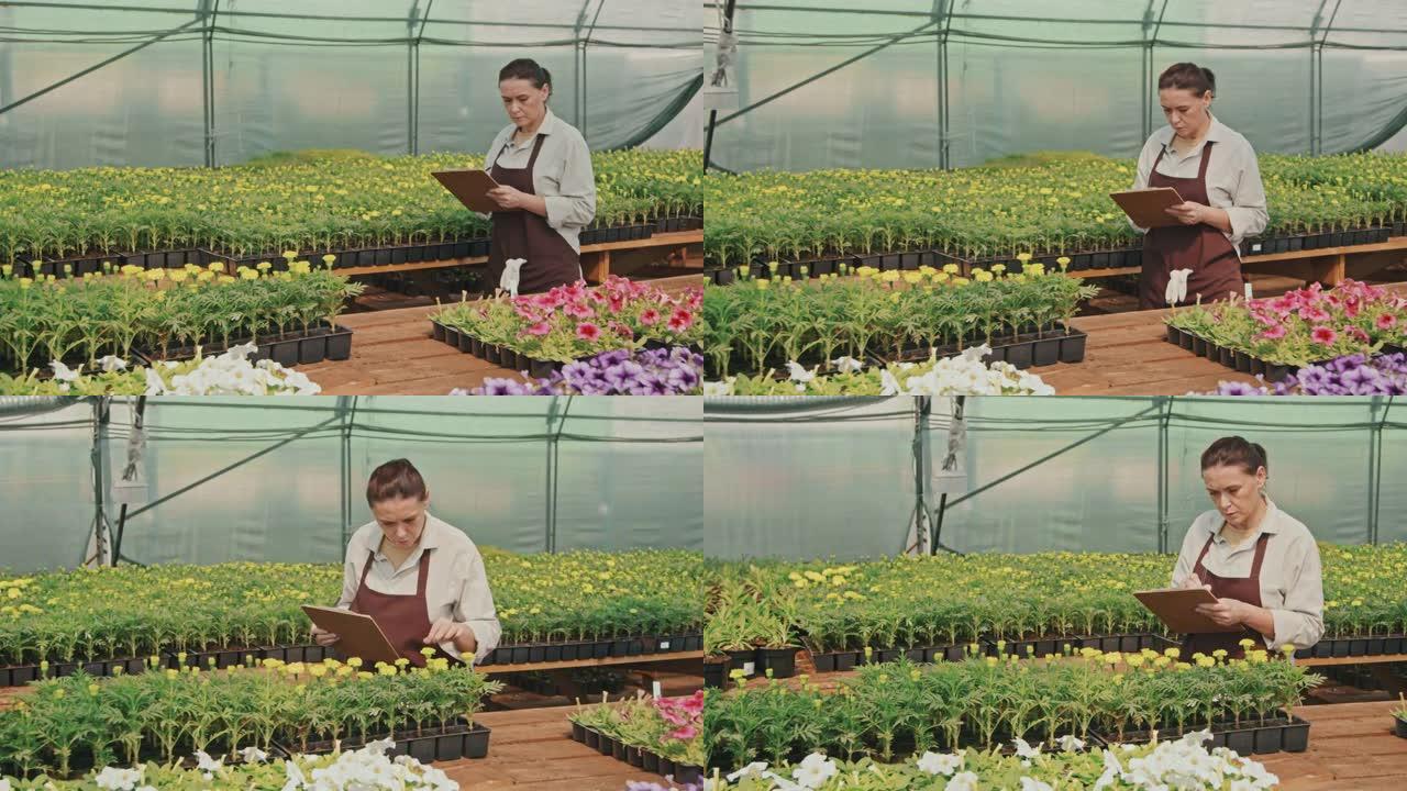 温室工人检查植物和花卉