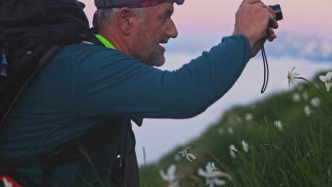 SLO MO Hiker在草坡上拍摄水仙花的照片