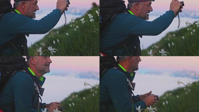 SLO MO Hiker在草坡上拍摄水仙花的照片