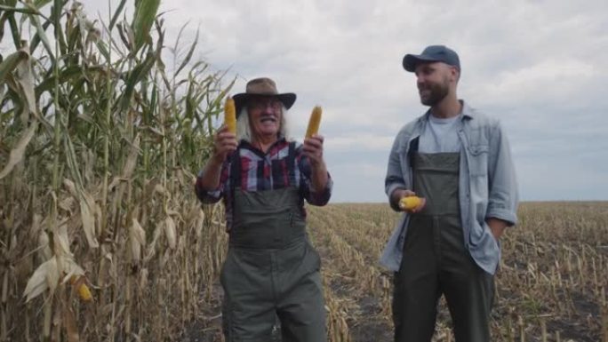 快乐农民讨论玉米收获
