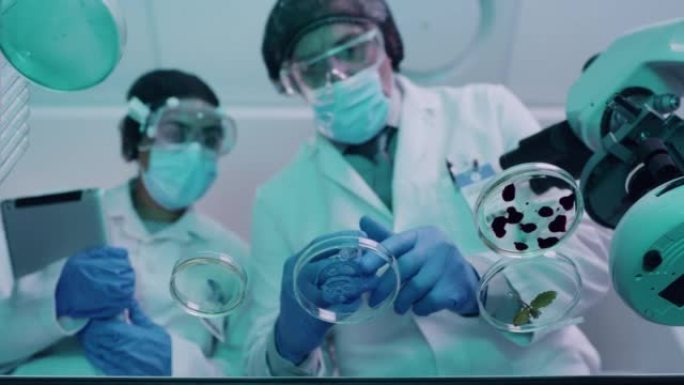 两位科学家在医学研究实验室的培养皿中从下面修改和混合化学物质。化学家创造了一种治疗病毒的方法。实验室