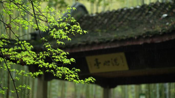 杭州云栖竹径春季清明节雨天古建筑自然唯美