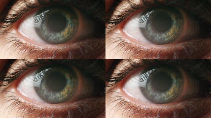 视觉，眨眼和蓝色眼睛的妇女的视力，健康或验光微距或变焦。虹膜，视网膜和焦点与女性的眼球对基因，健康和