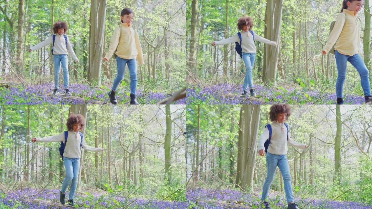 男孩和女孩在春季林地中穿过风铃草，在慢动作的原木上保持平衡