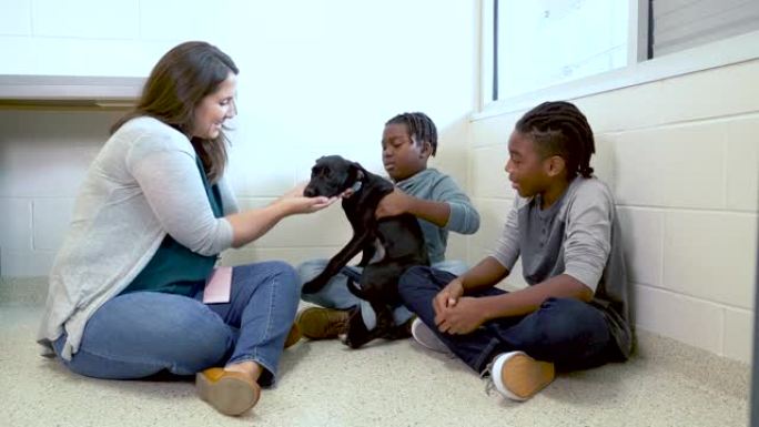 动物收容所的志愿者帮助男孩遇见救援犬