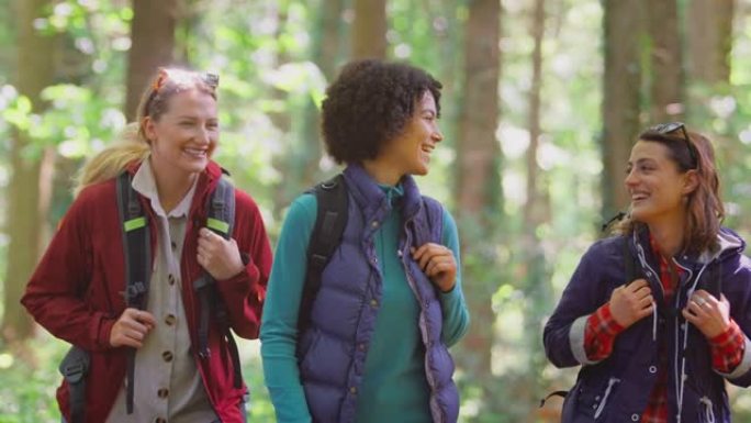 微笑的女性朋友在假日徒步穿越树林的肖像-慢动作拍摄