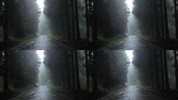 雨中有雾的森林道路