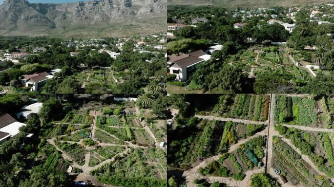 南非开普敦背景下的桌山非盈利性社区城市农场和花园的空中变焦