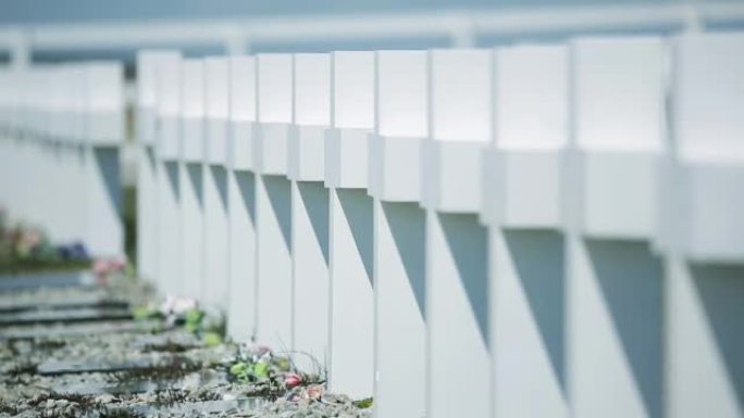 达尔文公墓，埋葬在马岛战争中牺牲的阿根廷士兵，东福克兰岛(Isla Soledad)，福克兰群岛(I