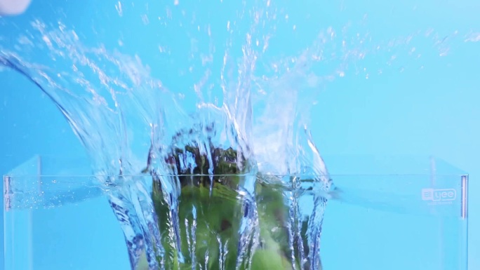 椰子青落入水中溅起水花