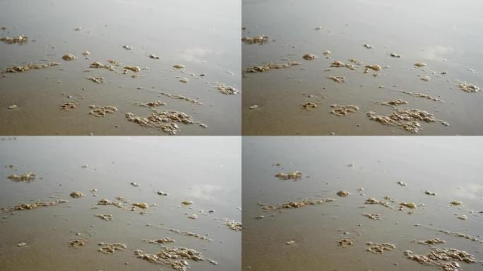 漏油冲到海滩上海滩石油污染