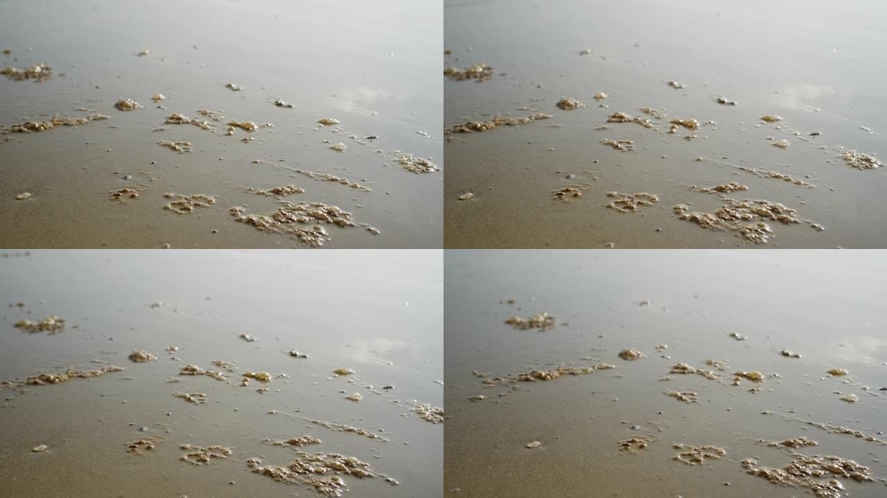 漏油冲到海滩上海滩石油污染