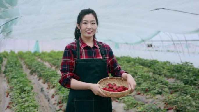 持有草莓肖像的亚洲农民