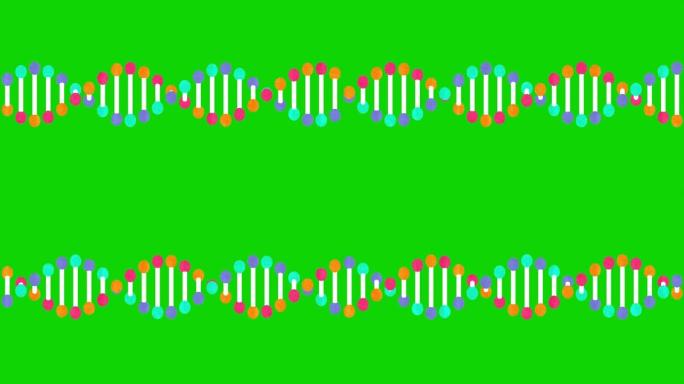 遗传DNA结构慢动作